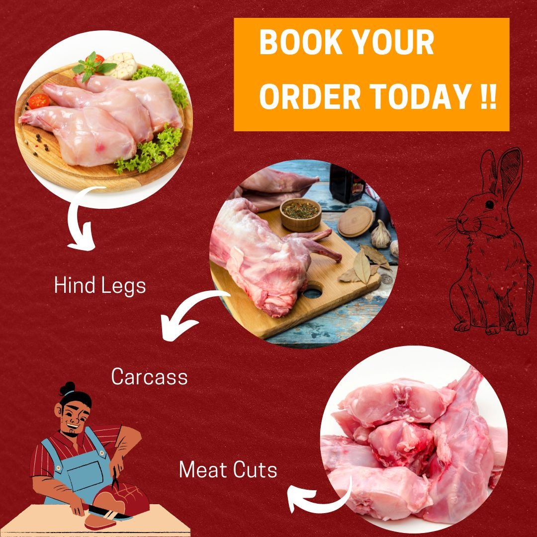 Rabbit meat Order Now