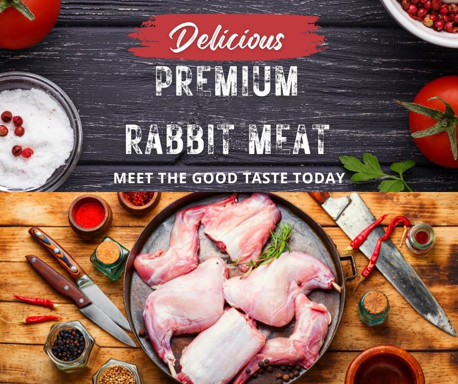 Delicious Rabbit Meat for sale