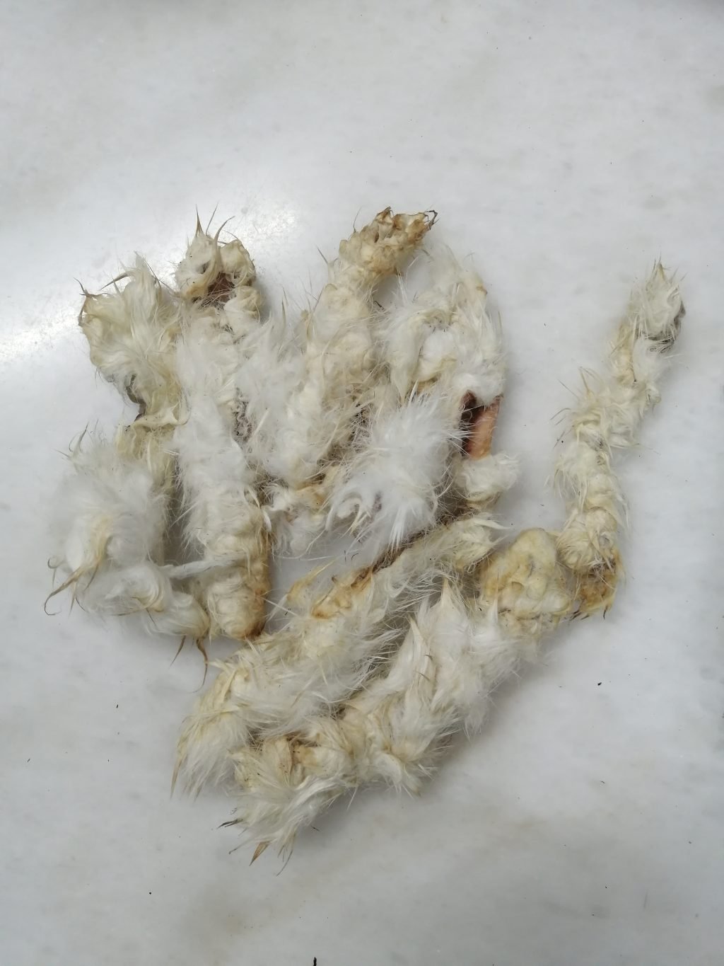 Dehydrated Furry Rabbit Hides/Skin For Dogs and cats Treats