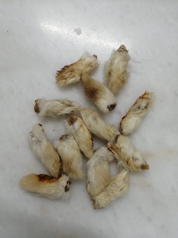 Dehydrated Rabbit Feet -front Feet, For Healthy dog treats