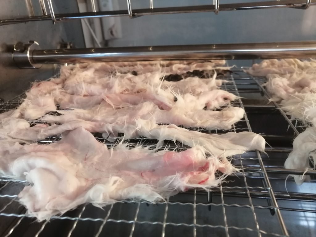 Dehydrated Furry Rabbit Hides/Skin – Rabbit Ear Farm