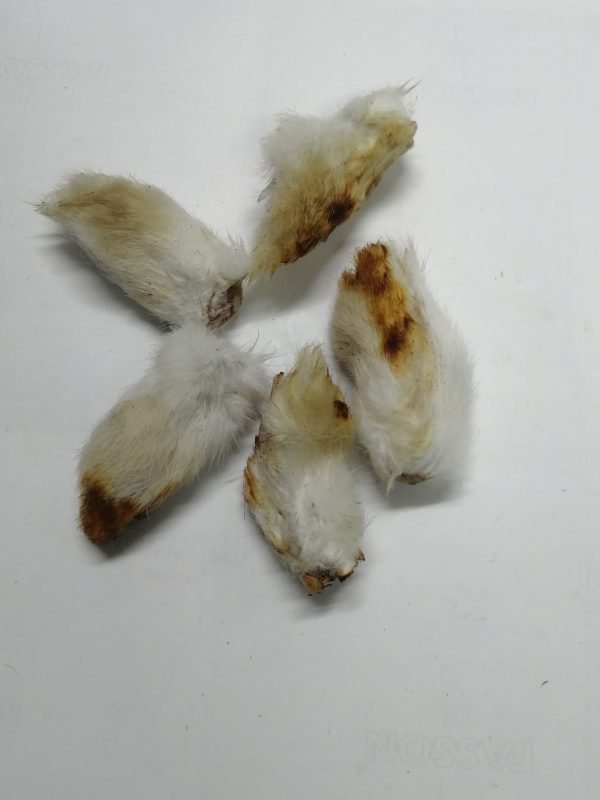 Dehydrated Furry Rabbit Feet For Dogs and cats Treats and Chews.