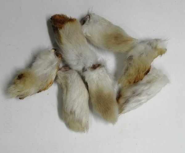 Dehydrated Furry Rabbit Feet For Dogs and cats Treats and Chews.