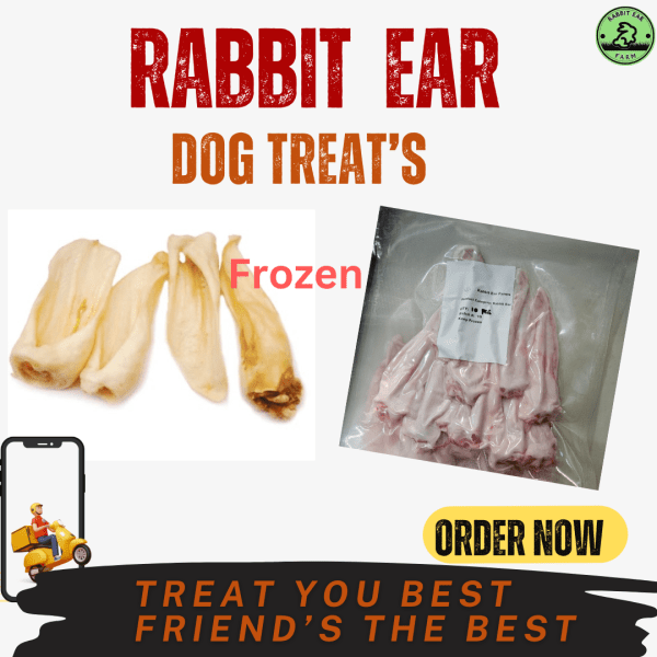 Frozen Rabbit Ear -Dog Treat's