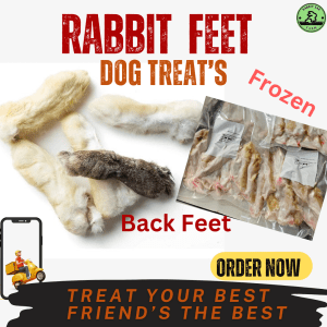 Rabbit Back Feet - Dog treats