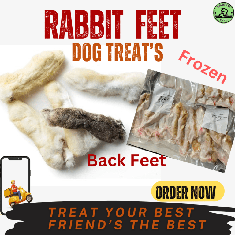 Frozen Rabbit Feet For Dogs treat and Chews - Back Feet
