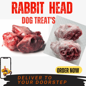 Frozen Rabbit Head- With Fur-10pcs, Dog Treat's