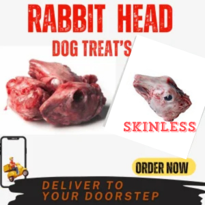 Frozen Rabbit Head- Skinless/Without Fur-10pcs, Dog Treat's