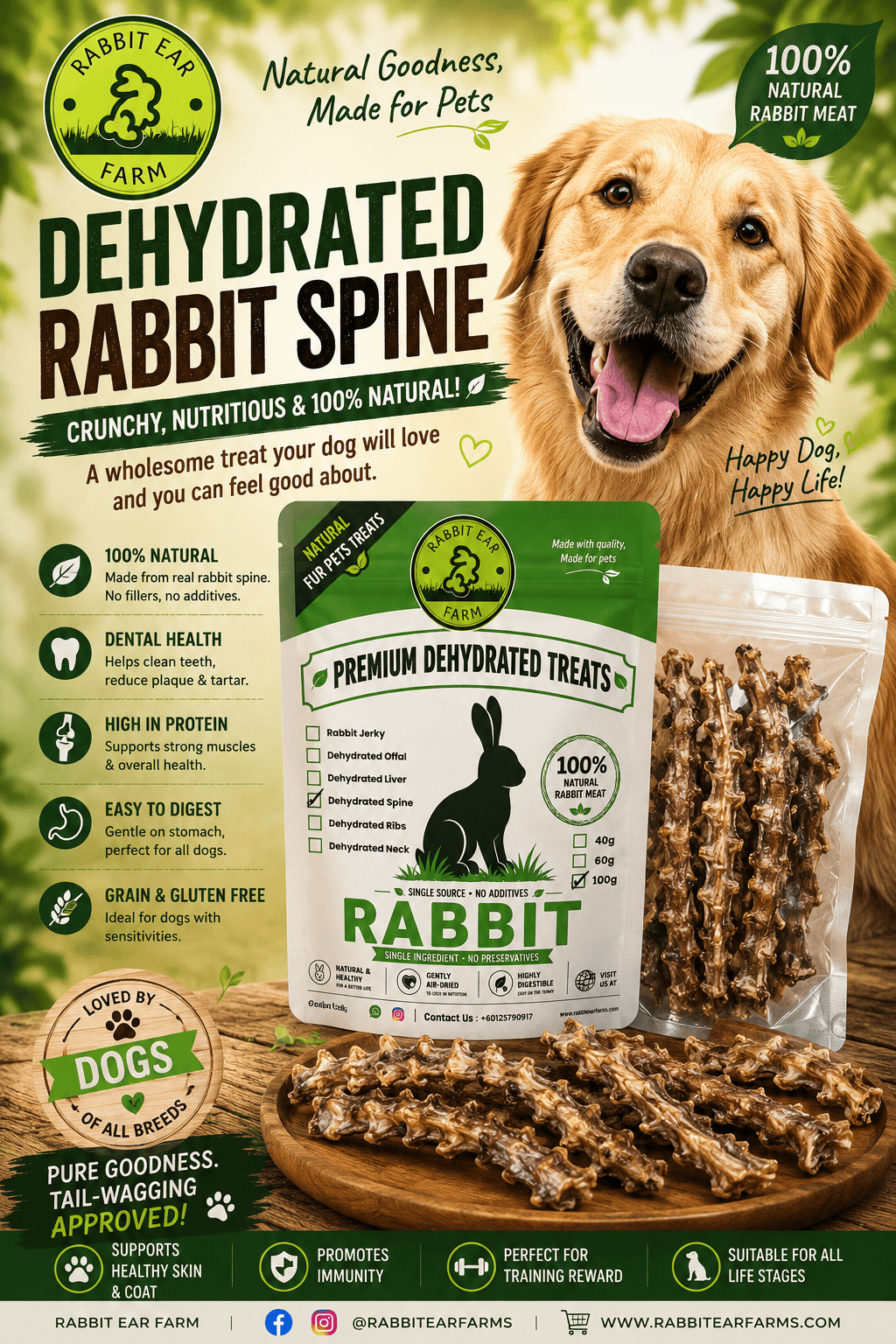 Dehydrated Rabbit Spine