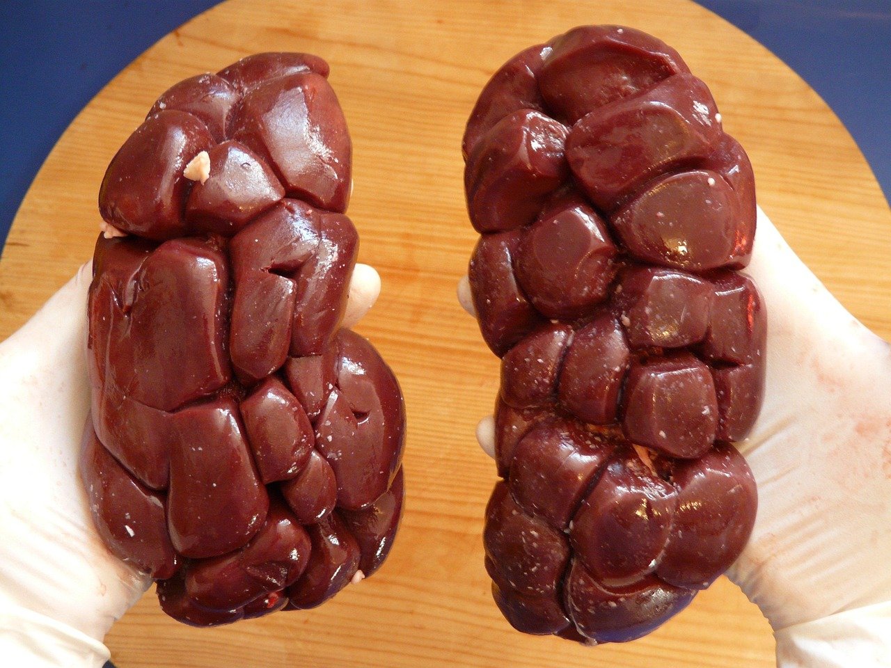 Fresh rabbit meat cuts sourced locally for customers asking where to buy fresh rabbit meat Penang this week